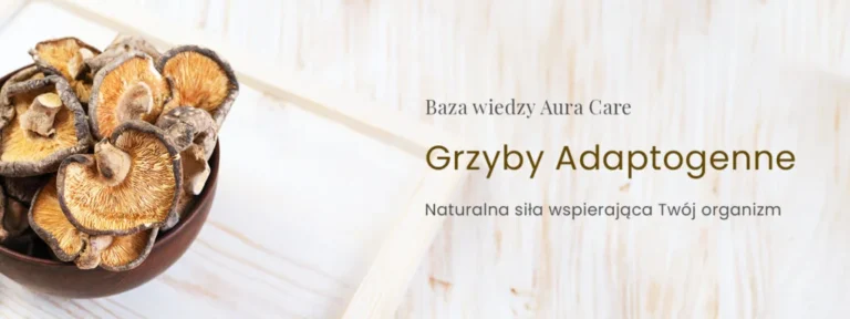 Grzyby Adaptogenne – naturalna siła wspierająca Twój organizm