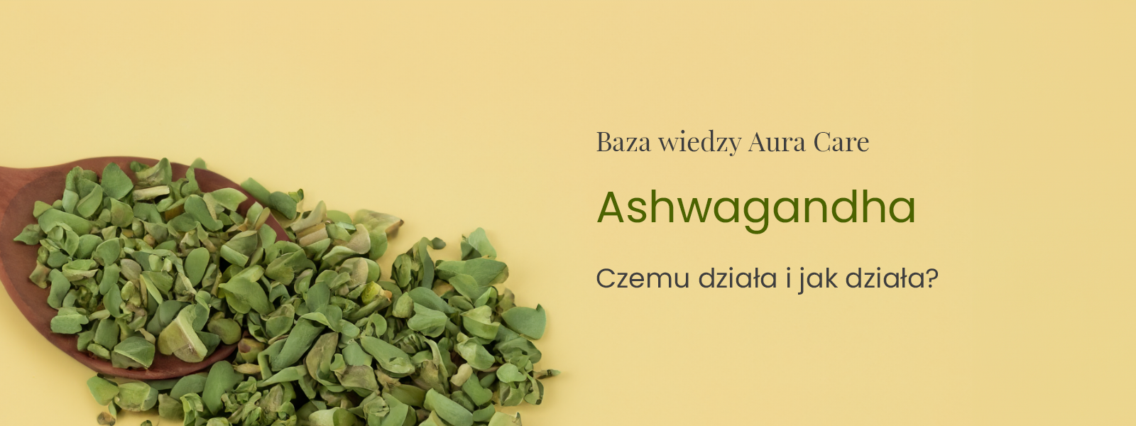 Ashwagandha – kiedy zaczyna działać, dlaczego działa i jak działa?