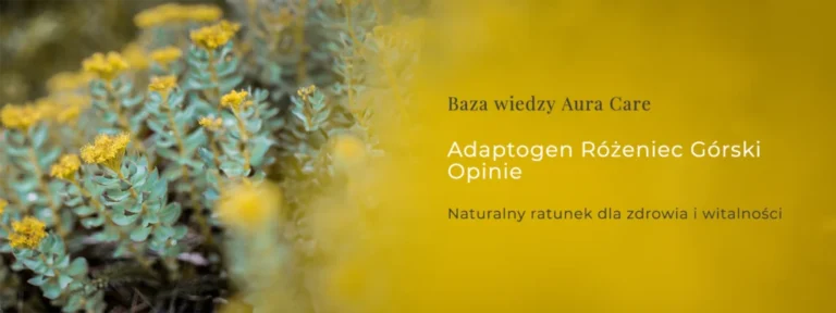Adaptogen Różeniec Górski Opinie: Naturalny ratunek dla zdrowia i witalności