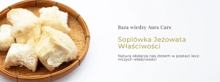Soplówka Jeżowata Właściwości – natura obdarza nas złotem w postaci leczniczych właściwości