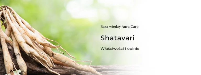 Shatavari – właściwości i opinie